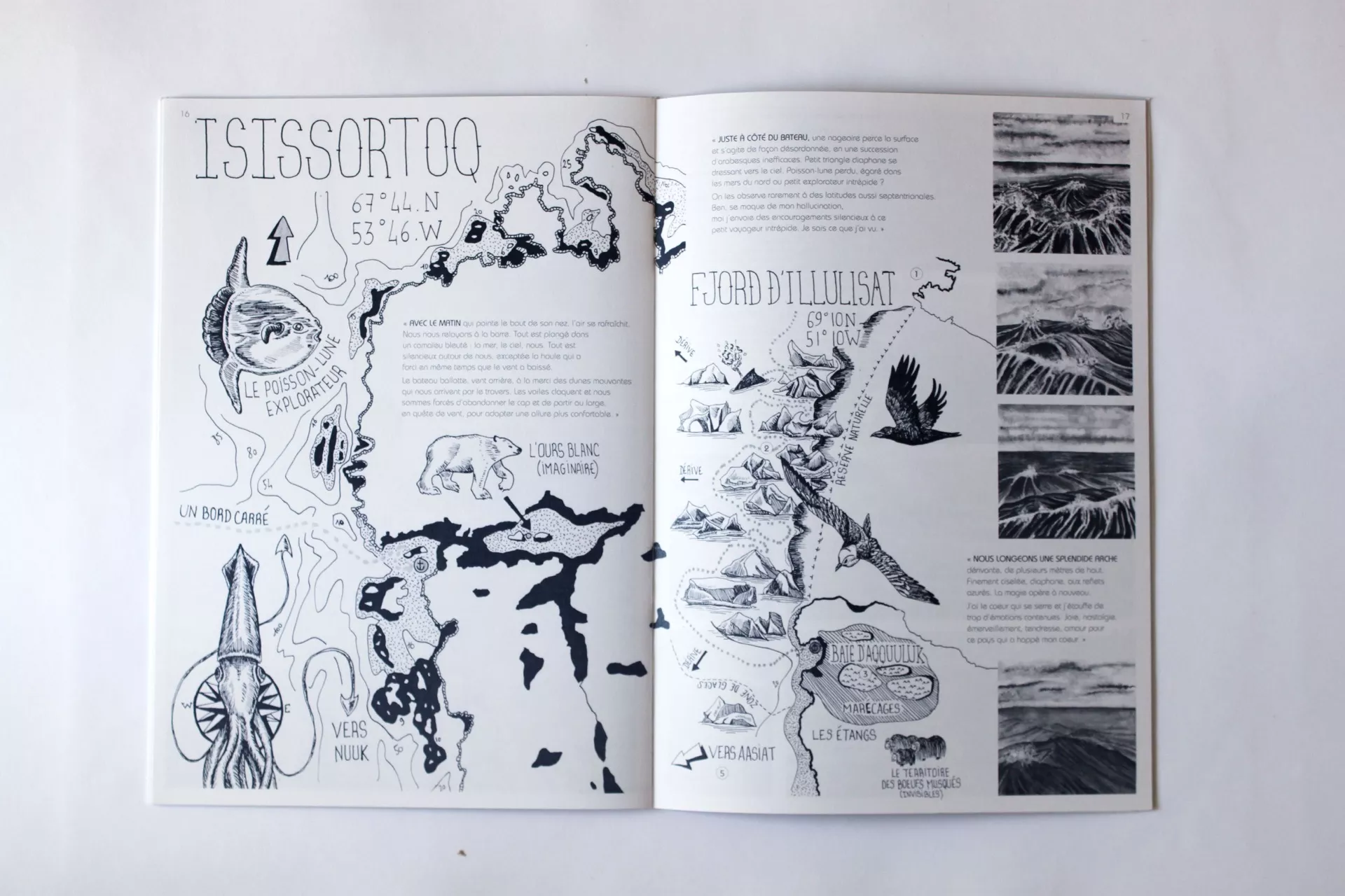 Claire Astigarraga - artiste plasticienne, sérigraphe, dessinatrice et navigatrice.