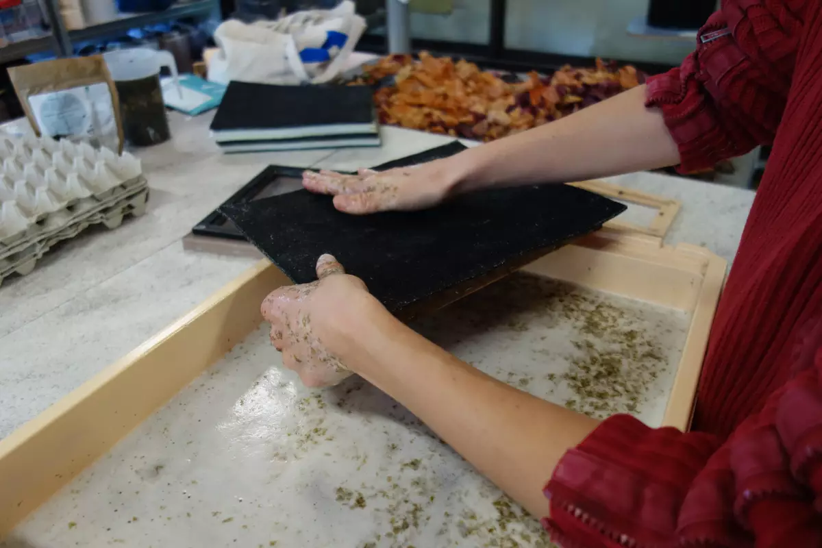 Claire Astigarraga - artiste plasticienne, sérigraphe, dessinatrice et navigatrice.